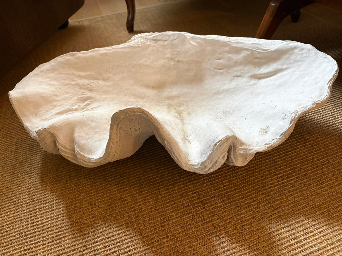 Extra Large Clam Shell