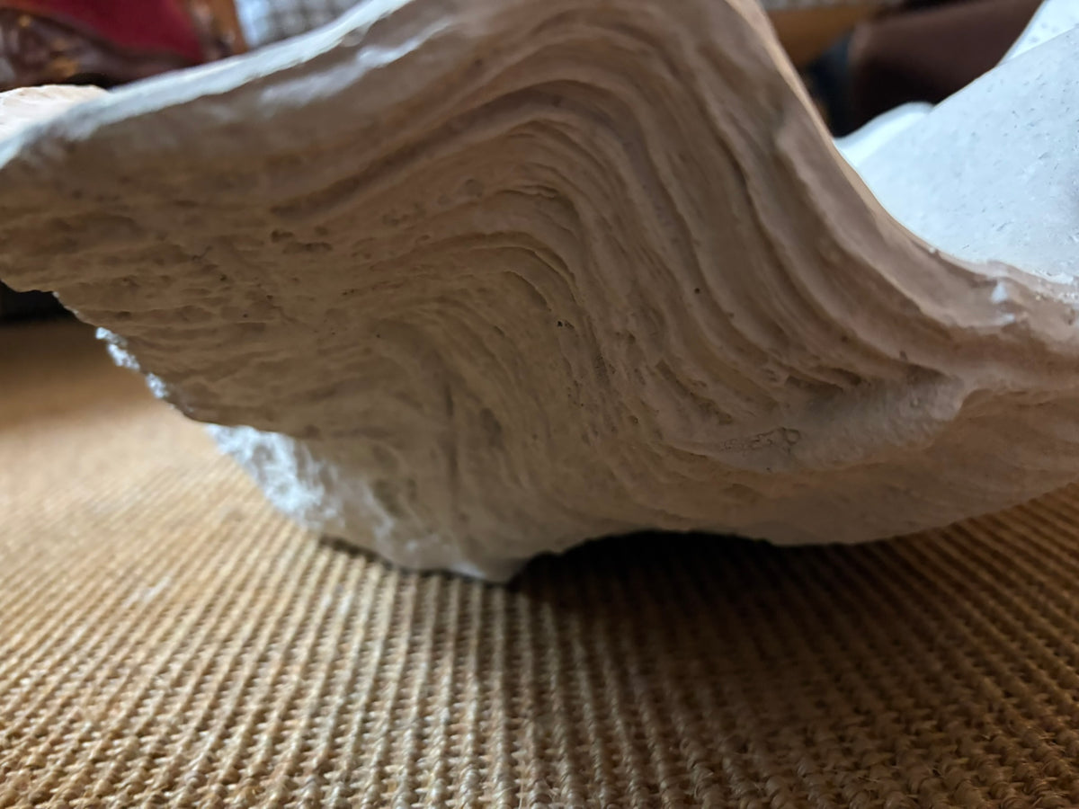 Extra Large Clam Shell